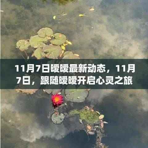 跟随暧暧的心灵之旅,探寻自然美景下的宁静与喜悦(最新动态)