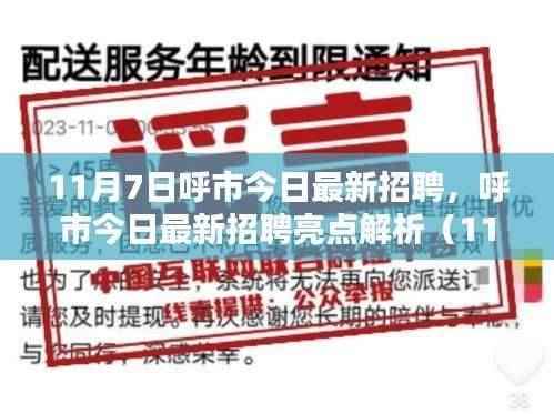 呼市最新招聘亮点解析(11月7日版)