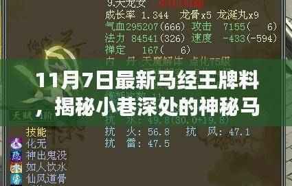 揭秘神秘马经王牌小店，美食冒险的不期而遇之旅（11月7日最新资讯）