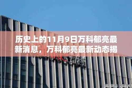 历史上的11月9日,揭秘万科郁亮最新动态与影响