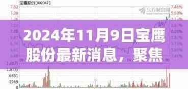 宝鹰股份未来展望,最新动态下的观点碰撞与个人立场