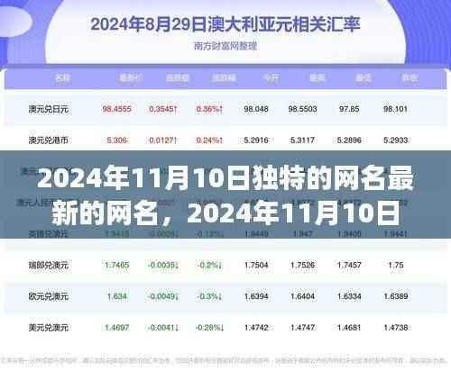 2024年独特网名趋势,个性表达与社交影响的完美交织