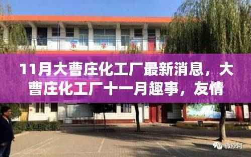 大曹庄化工厂十一月温馨日常,友情、陪伴与最新消息