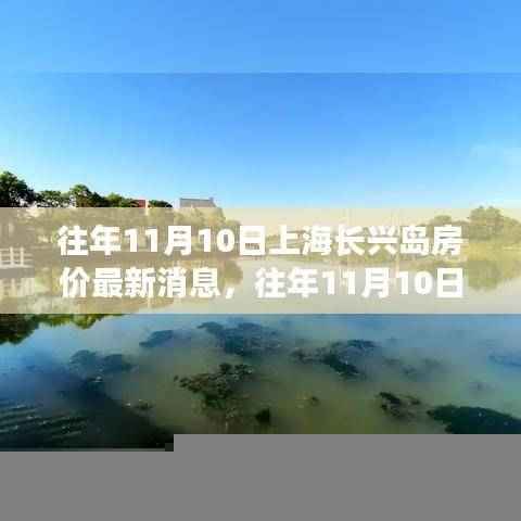 上海长兴岛房价最新动态，多方观点解析与个人立场阐述，历年11月10日回顾分析