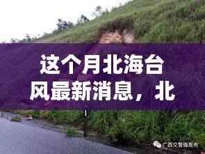 肝胆相照 第43页