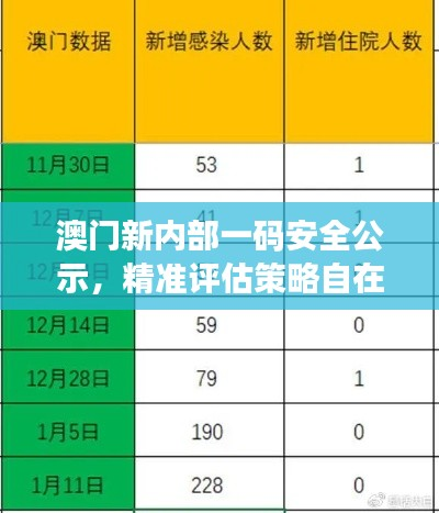 澳门新内部一码安全公示,精准评估策略自在版MVN654.82