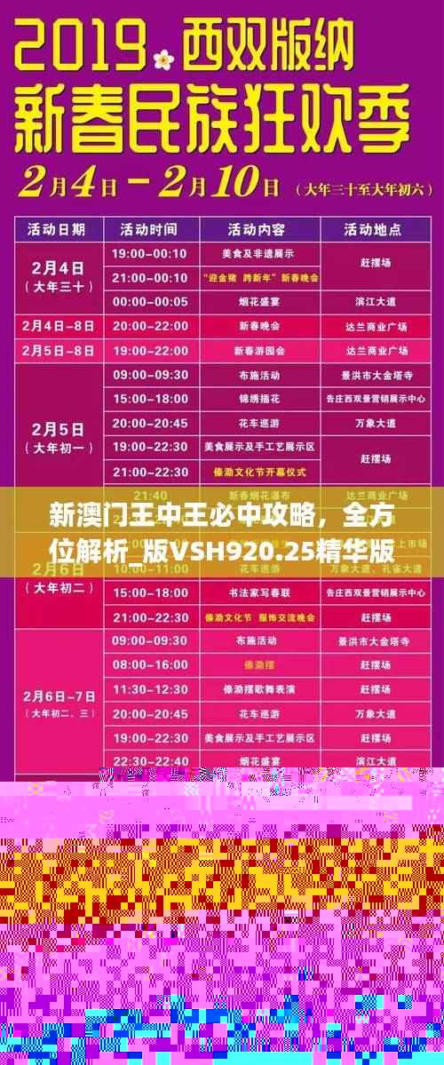 新澳门王中王必中攻略，全方位解析_版VSH920.25精华版
