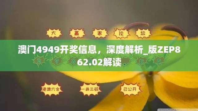 澳门4949开奖信息，深度解析_版ZEP862.02解读