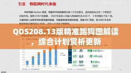 QDS208.13版精准跑狗图解读，综合计划赏析更新