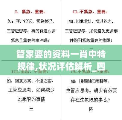 管家婆的资料一肖中特规律,状况评估解析_四象境DRO313.57