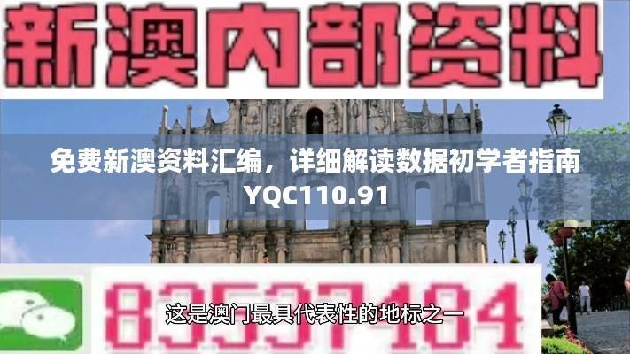 免费新澳资料汇编,详细解读数据初学者指南YQC110.91