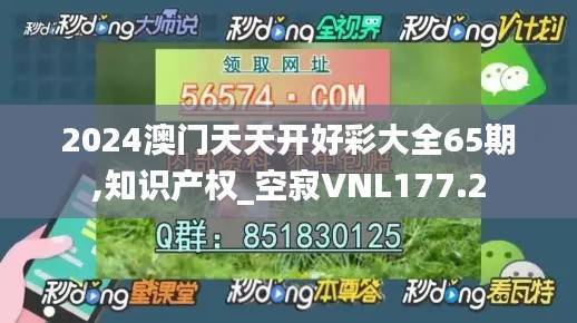2024澳门天天开好彩大全65期,知识产权_空寂VNL177.2