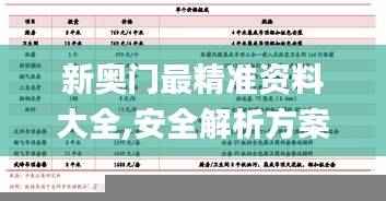 新奥门最精准资料大全,安全解析方案_散虚WJG777.17