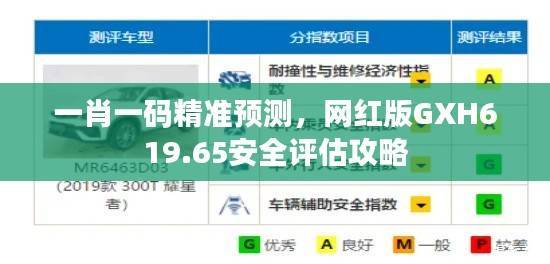 一肖一码精准预测,网红版GXH619.65安全评估攻略