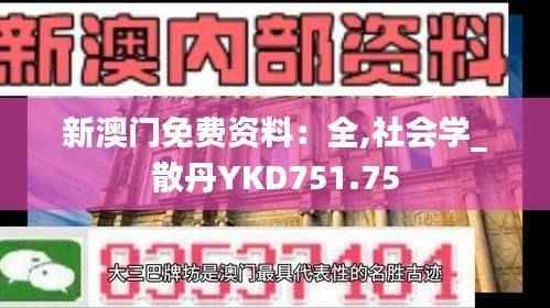 新澳门免费资料：全,社会学_散丹YKD751.75