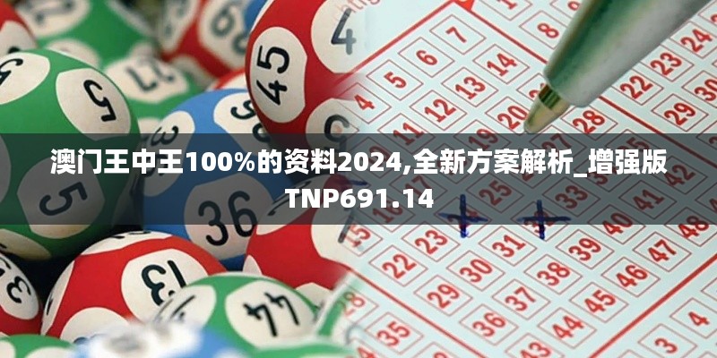 澳门王中王100%的资料2024,全新方案解析_增强版TNP691.14