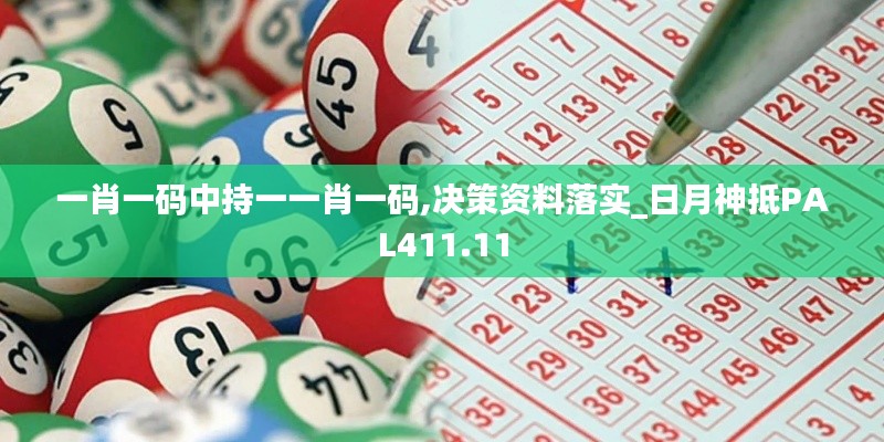 一肖一码中持一一肖一码,决策资料落实_日月神抵PAL411.11