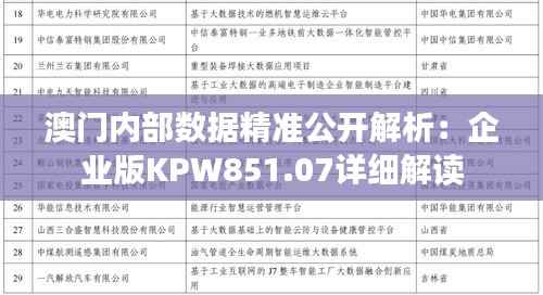 澳门内部数据精准公开解析：企业版KPW851.07详细解读