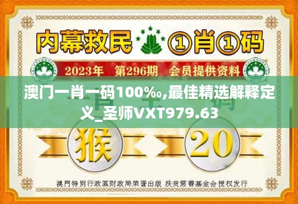 澳门一肖一码100‰,最佳精选解释定义_圣师VXT979.63