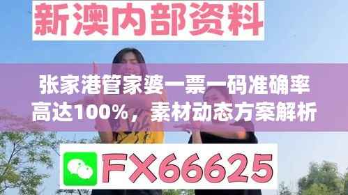 张家港管家婆一票一码准确率高达100%,素材动态方案解析——KHG125.59开放版