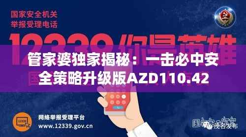 管家婆独家揭秘:一击必中安全策略升级版AZD110.42