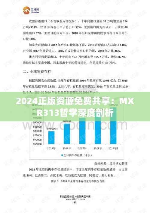 2024正版资源免费共享:MXR313哲学深度剖析