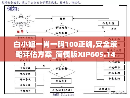 白小姐一肖一码100正确,安全策略评估方案_简便版XIP605.14