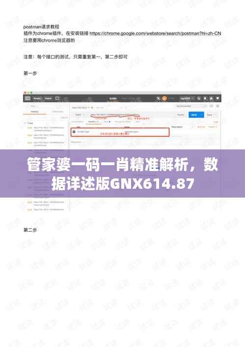 管家婆一码一肖精准解析，数据详述版GNX614.87