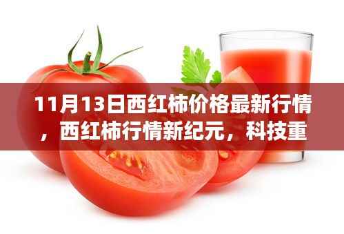 11月13日西红柿价格最新行情,科技重塑市场,新纪元重磅来袭
