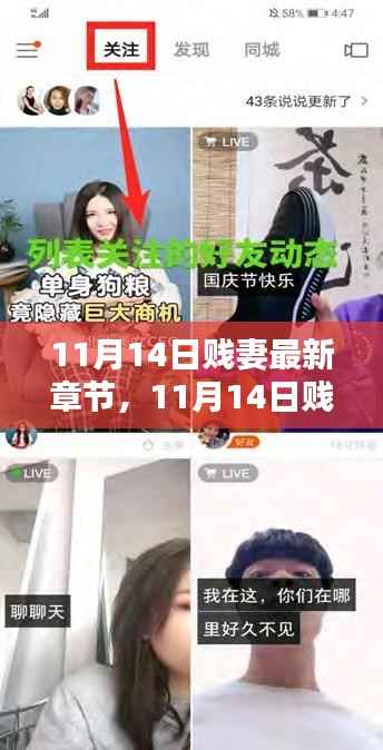 11月14日贱妻最新章节,深度评测与详细介绍