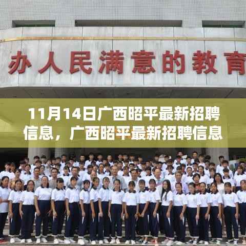 广西昭平最新招聘信息汇总,聚焦就业新动向与时代地位(11月14日)