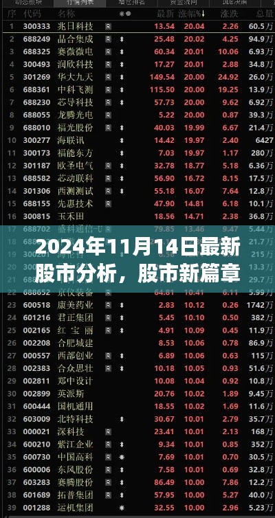2024年11月股市新篇章,洞悉市场变化,拥抱自信与成就分析报告