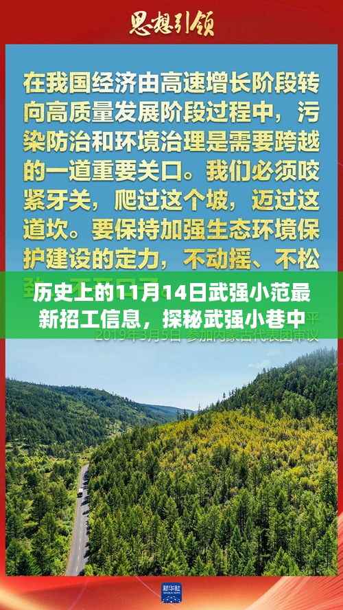 探秘武强小巷隐藏宝藏，最新招工信息与特色小店之旅（11月14日）