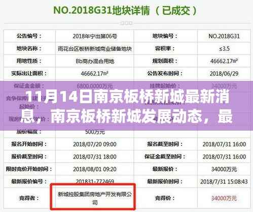南京板桥新城最新动态深度解读与观点碰撞，11月14日更新消息