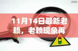 11月14日新视角，老赖现象再观察与深度剖析