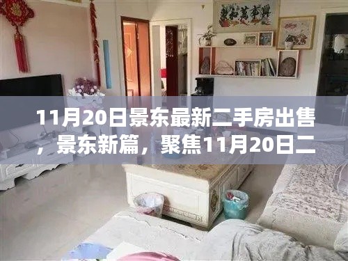 景东二手房市场新动态，聚焦11月20日房源出售信息