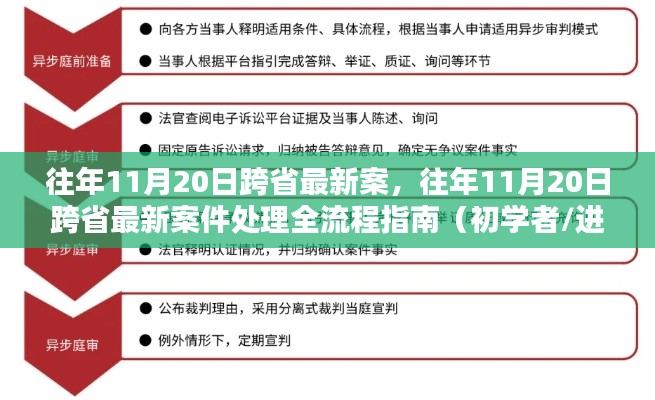 往年11月20日跨省案件处理全流程详解,从案件到解决,初学者与进阶用户必备指南