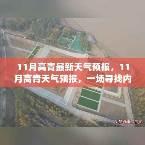 高青县11月天气预报,寻找内心平静的绿色之旅启程在即