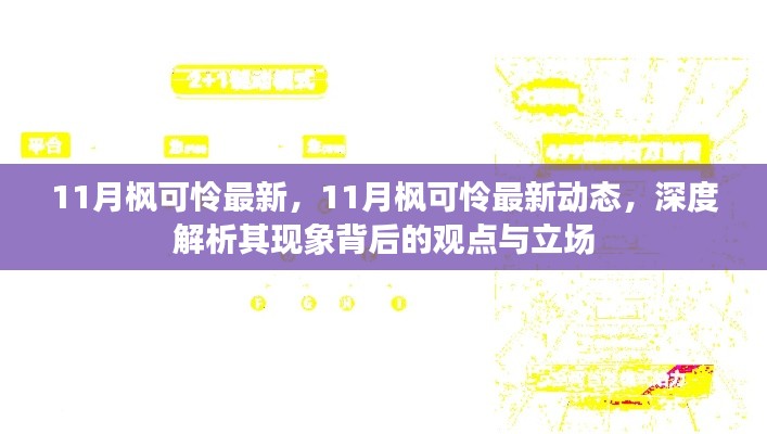 深度解析,11月枫可怜最新动态及其现象背后的观点与立场