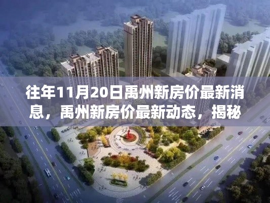 揭秘禹州新房价动态,揭秘往年11月20日的背后故事与影响