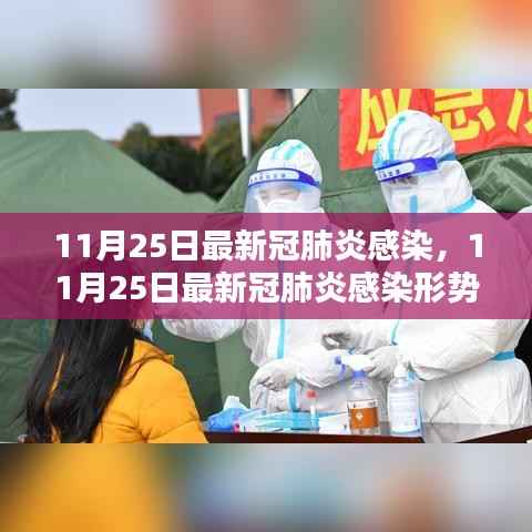 11月25日新冠肺炎感染最新形势分析,全面解析与某某观点阐述