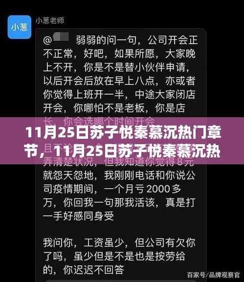 11月25日苏子悦秦慕沉热门章节,深度测评与详细介绍