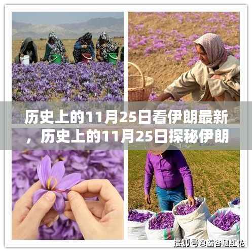 历史上的11月25日,探寻伊朗小巷深处的独特风味小店与最新动态