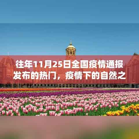 疫情下的自然之旅，寻找内心的宁静与美景的奇遇之旅——全国疫情通报背后的故事