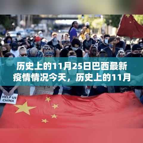 历史上的11月25日巴西最新疫情概况与今日概览