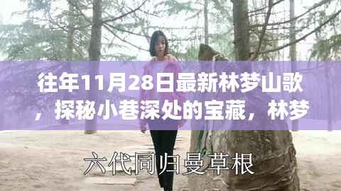 探秘林梦山歌特色小店,小巷深处的宝藏之旅(往年最新歌曲加持)