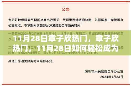 11月28日章子欣热门话题揭秘,轻松成为话题焦点,初学者与进阶用户指南