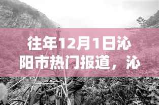 沁阳市隐藏小巷深处的特色小店，岁月中的惊喜