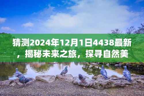 橘虞初梦 第15页