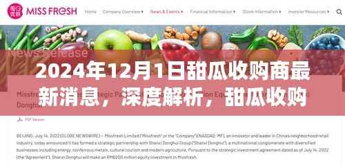 独家报道,深度解析甜瓜收购商最新动态——最新消息,预测截至2024年12月1日